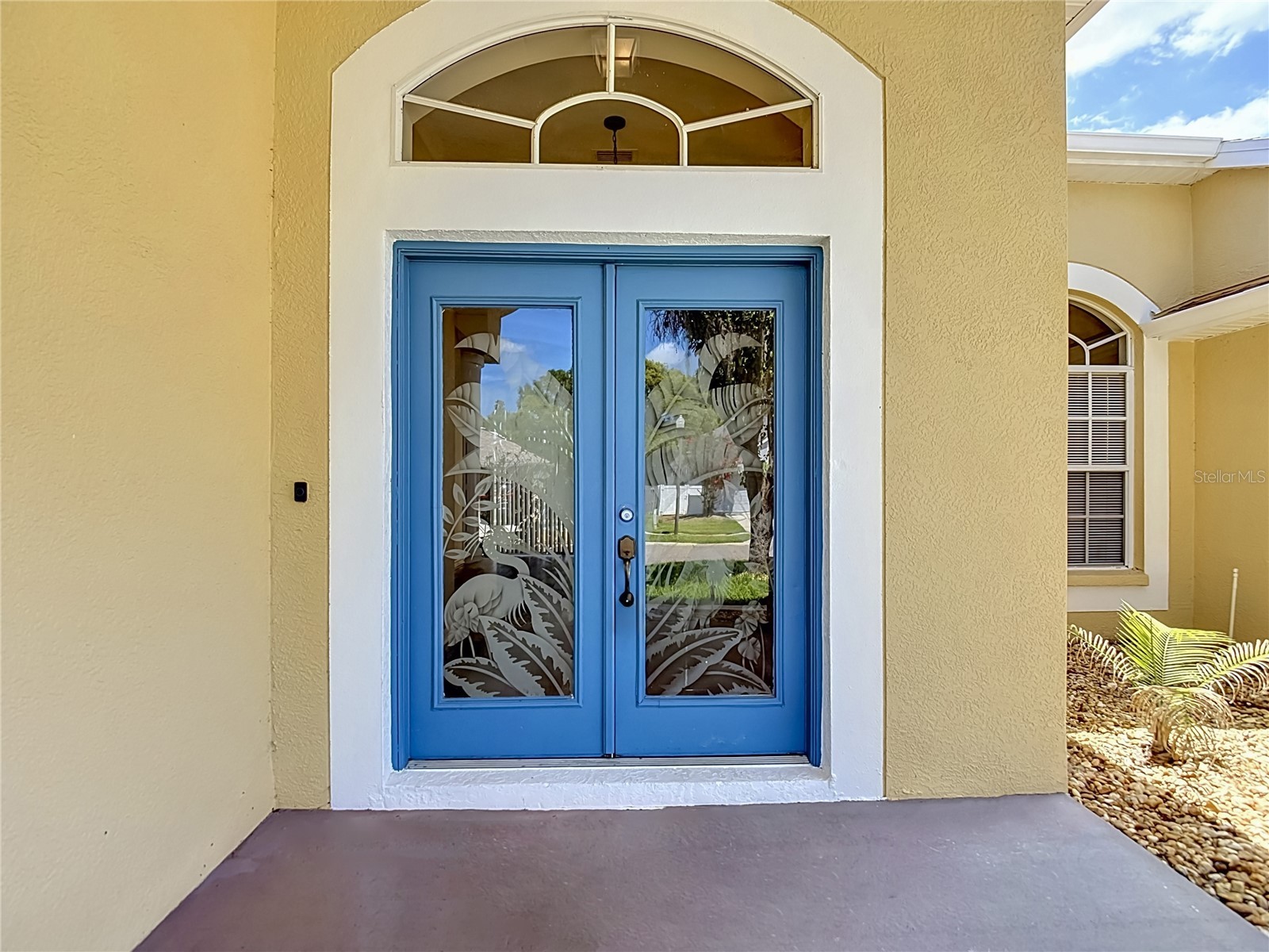 22035 Yachtclub Terrace Land O Lakes FL 34639 TB8516293 image9