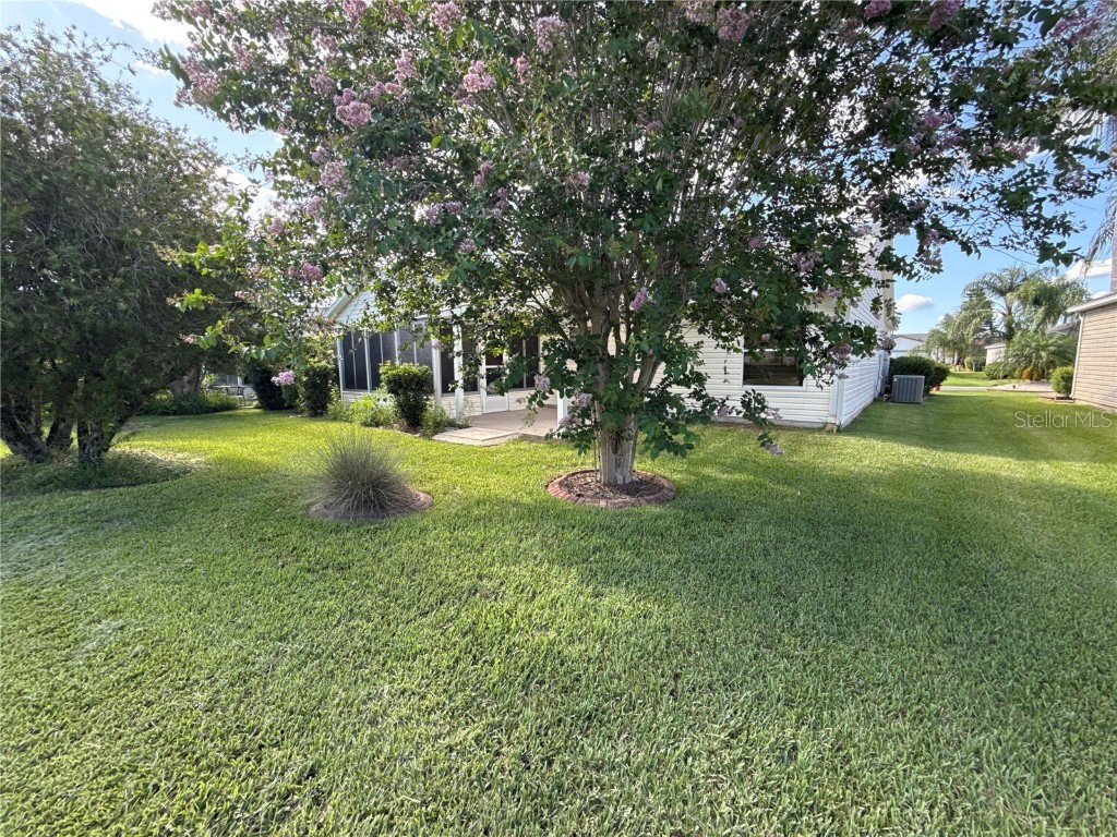 2204 Crawford Court The Villages FL 32162 OM713654 image15