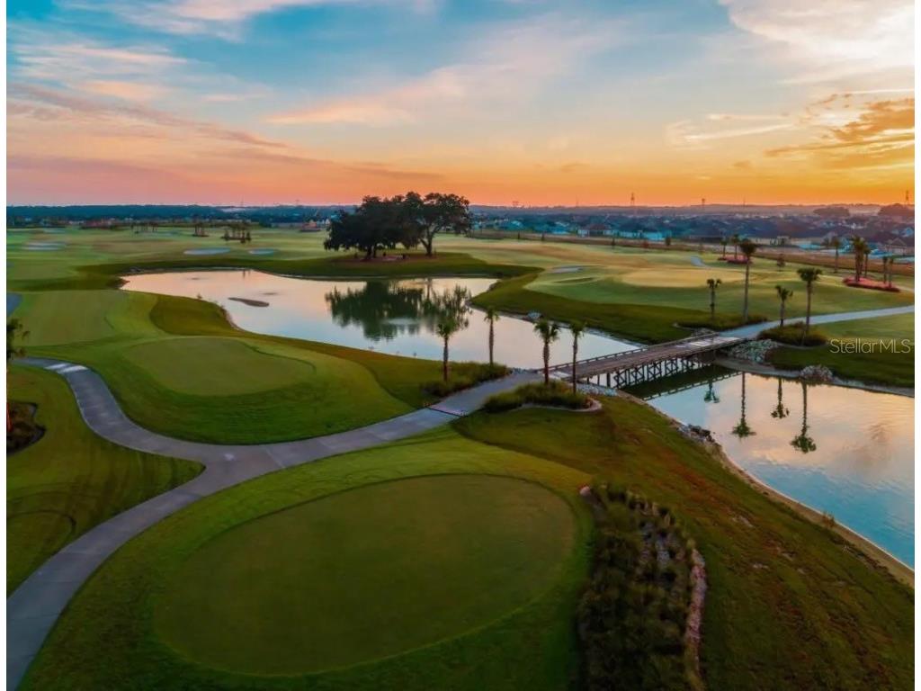 2204 Crawford Court The Villages FL 32162 OM713654 image18