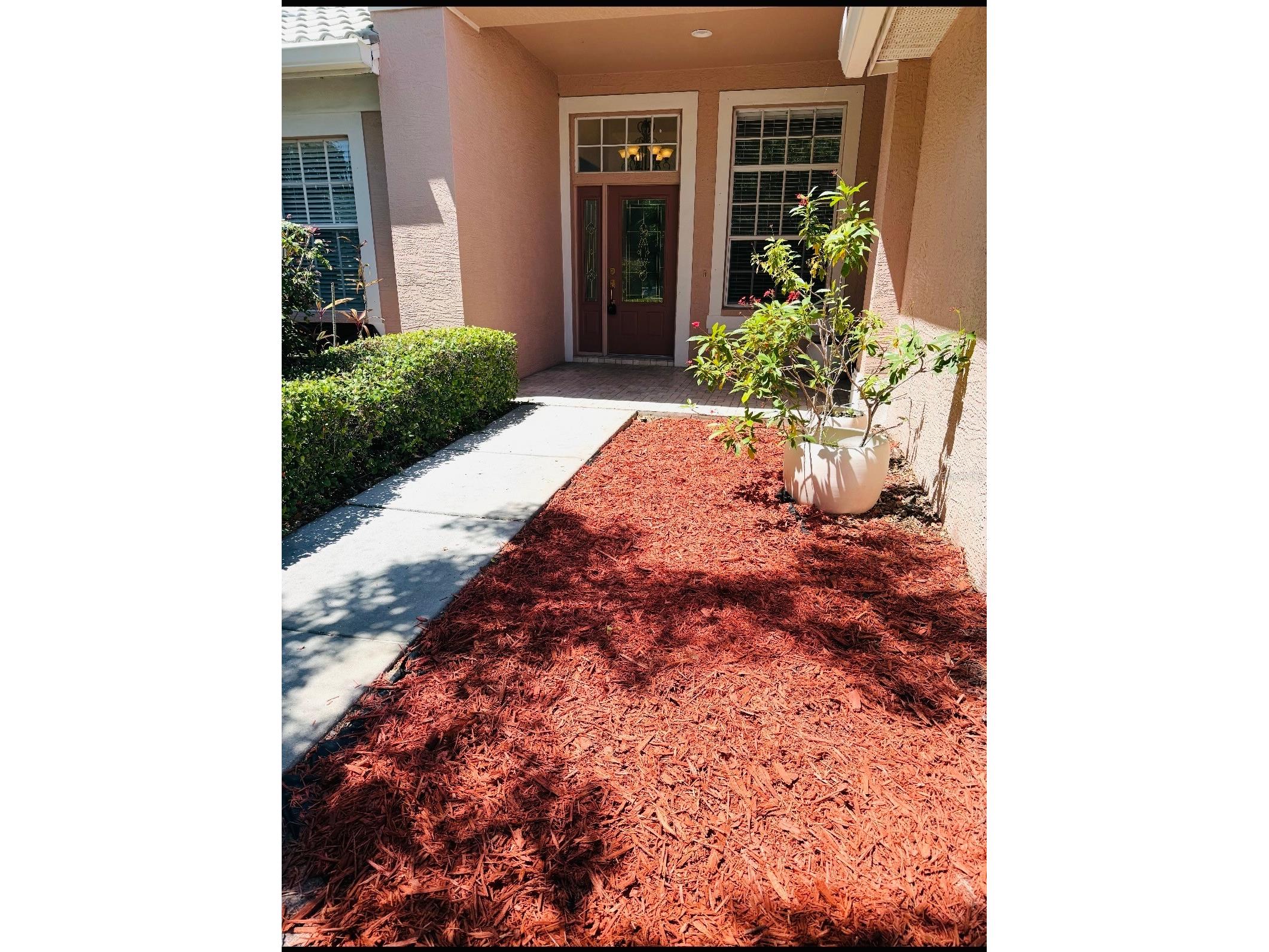 2204 Elizabeth Way Dunedin FL 34698 TB8500500 image17
