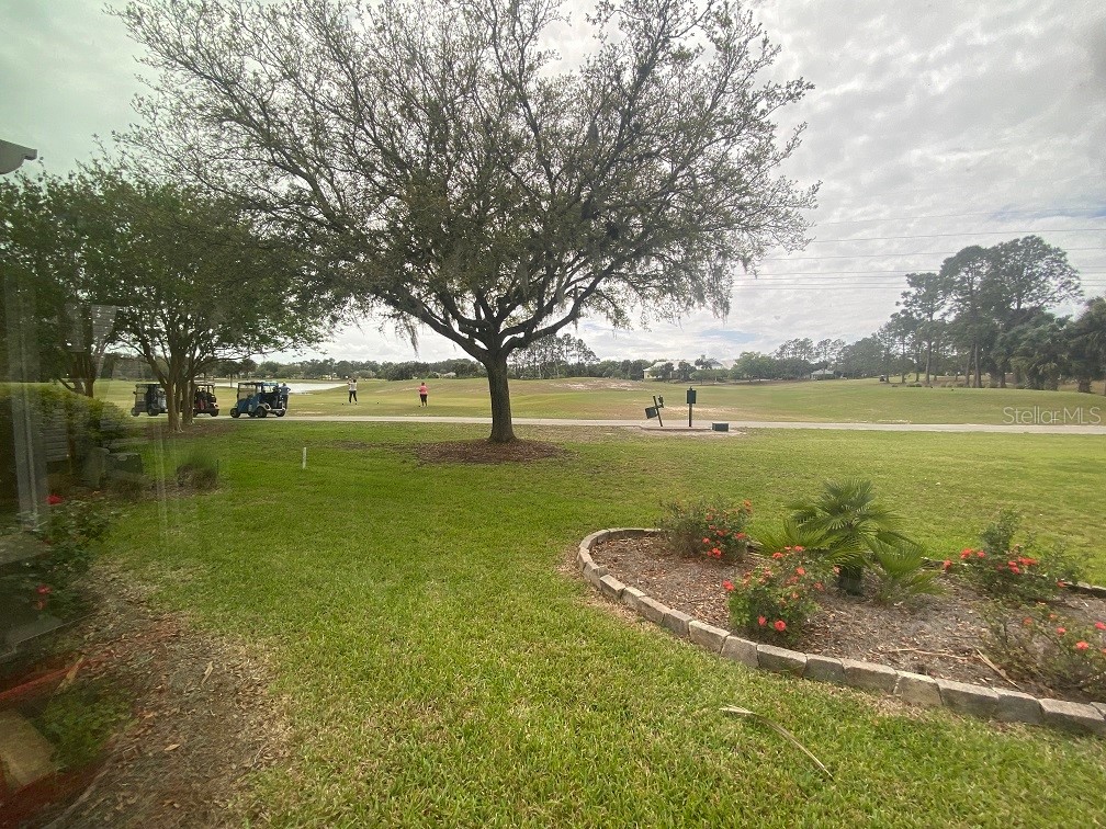 2204 Margarita Drive The Villages FL 32159 OM723026 image2