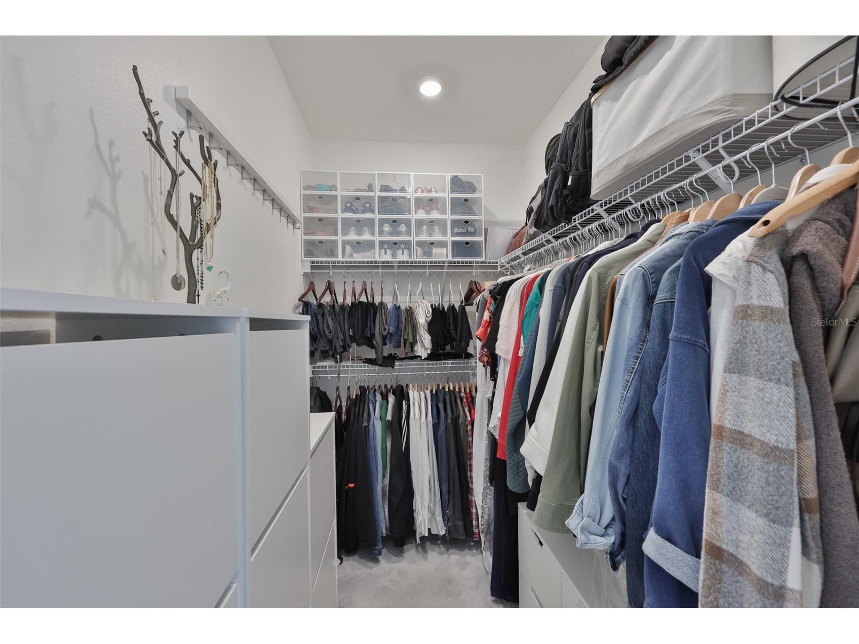 2204 N Central Avenue #1 Tampa FL 33602 TB8497958 image24
