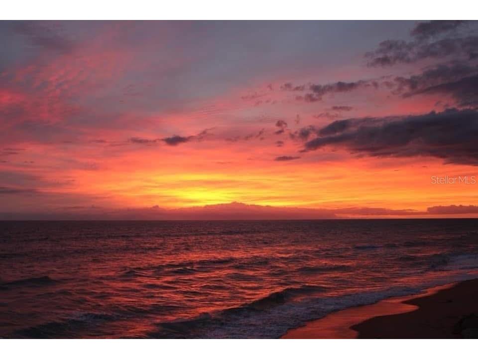 2204 S Central Avenue Flagler Beach FL 32136 FC315743 image11