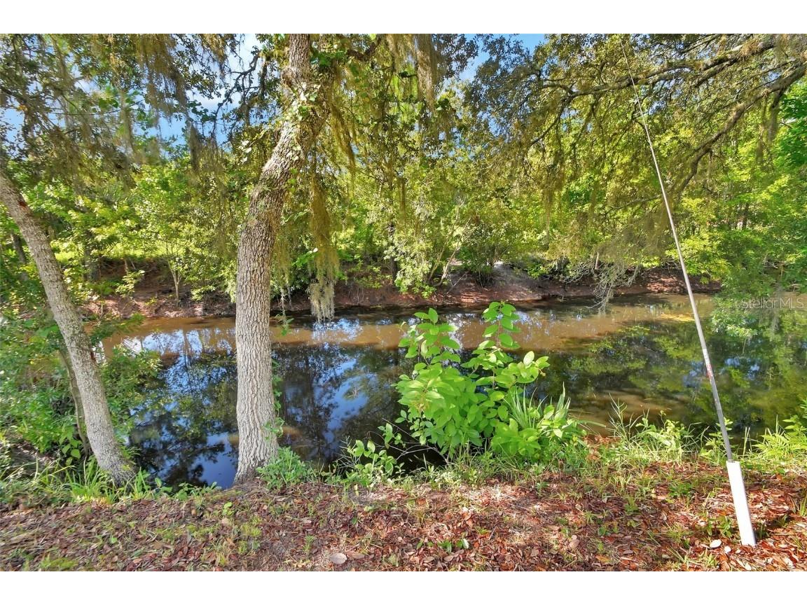 22040 Blue Creek Lodge Road Astor FL 32102 - BLUE CREEK V4943615 image2