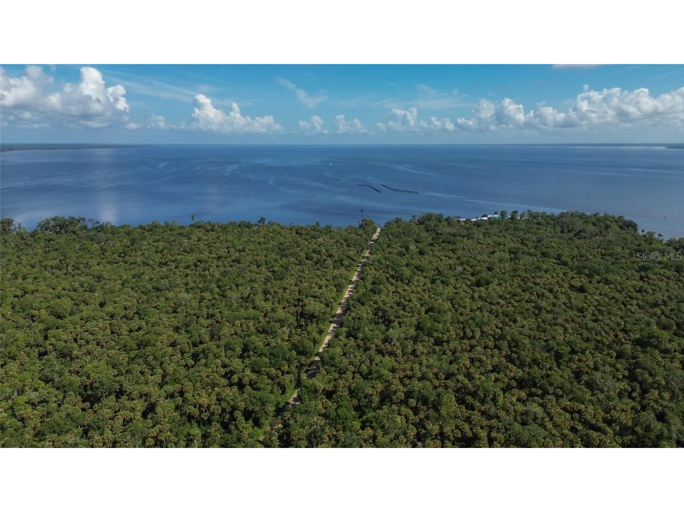 22040 Blue Creek Lodge Road Astor FL 32102 - BLUE CREEK V4943615 image42