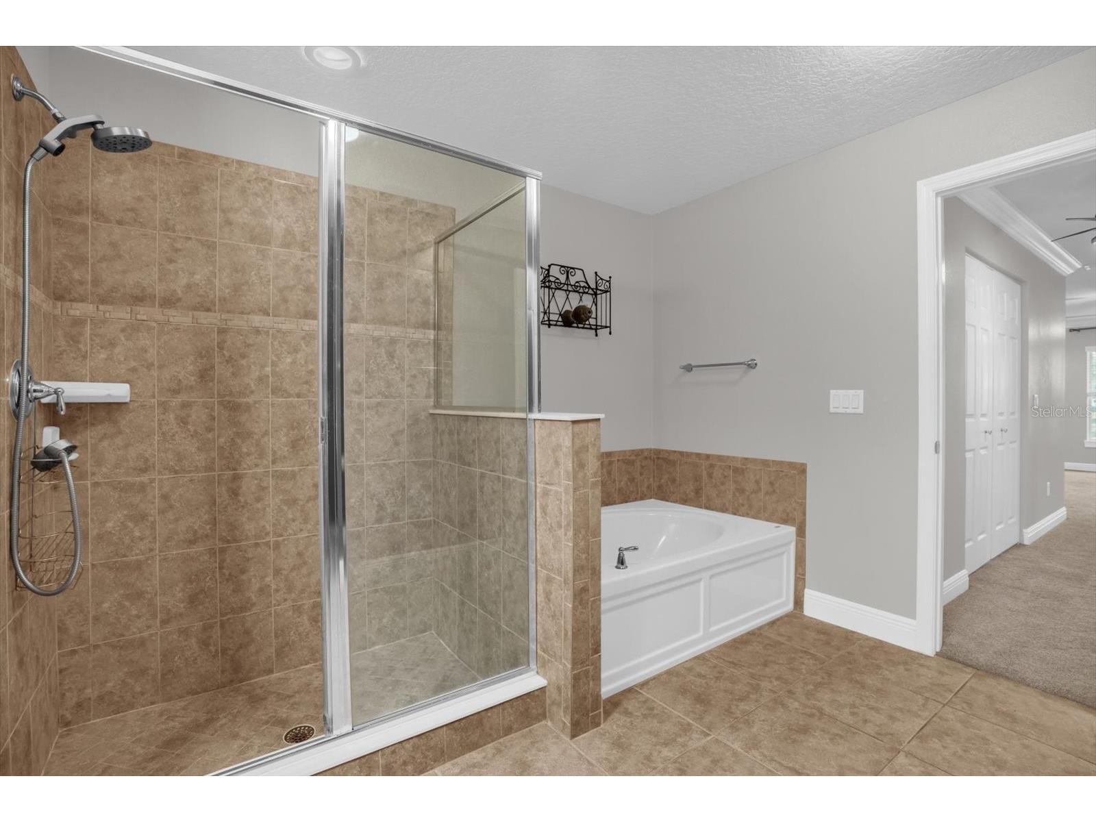 22048 Belgian Court Mount Dora FL 32757 G5106820 image22