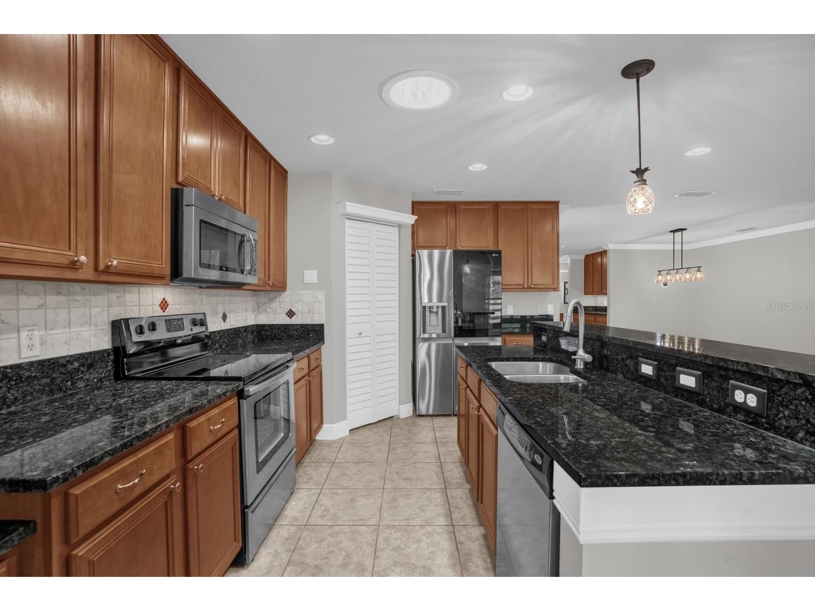 22048 Belgian Court Mount Dora FL 32757 G5106820 image9