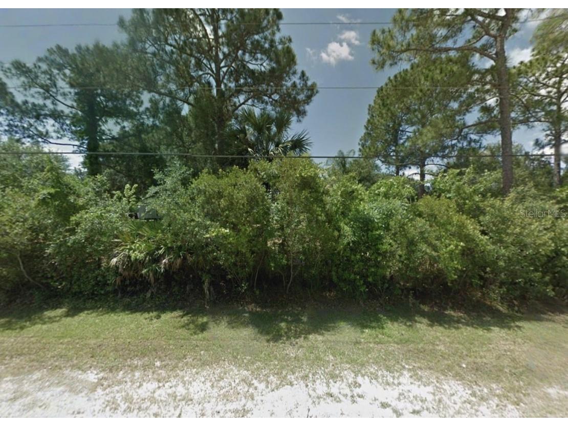 2205 Blue Fish Place Geneva FL 32732 A4694161 image1
