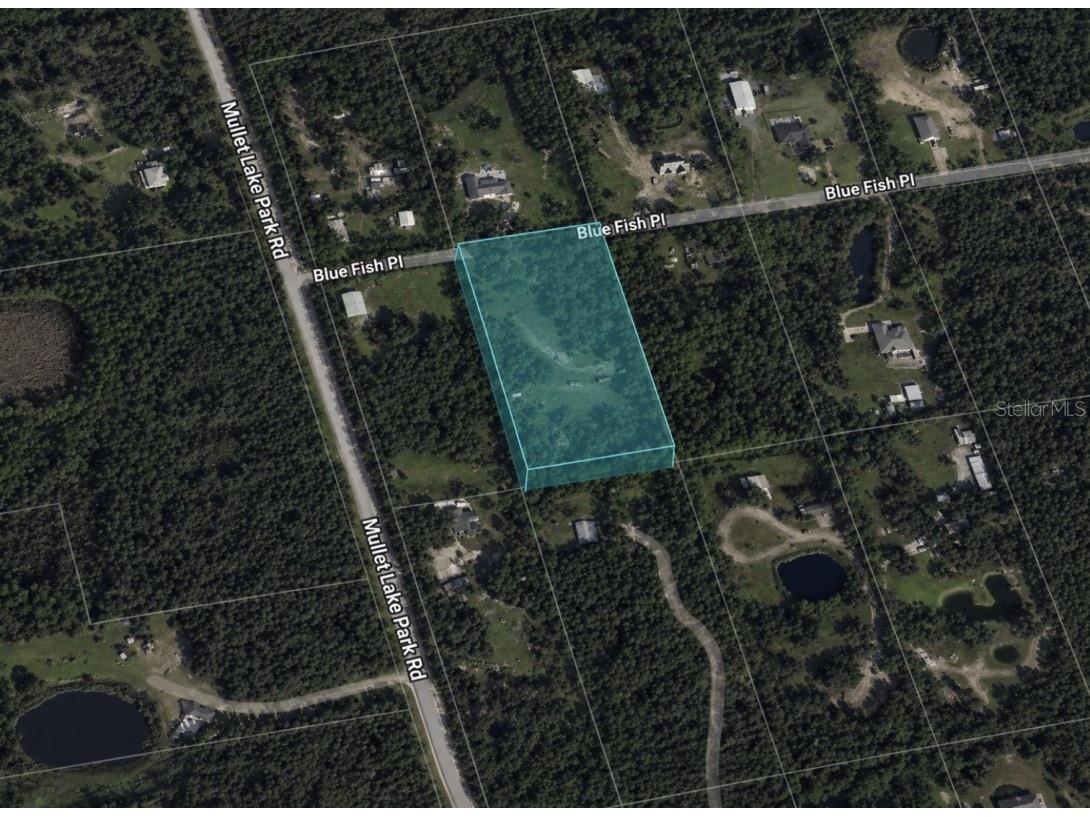2205 Blue Fish Place Geneva FL 32732 A4694161 image2