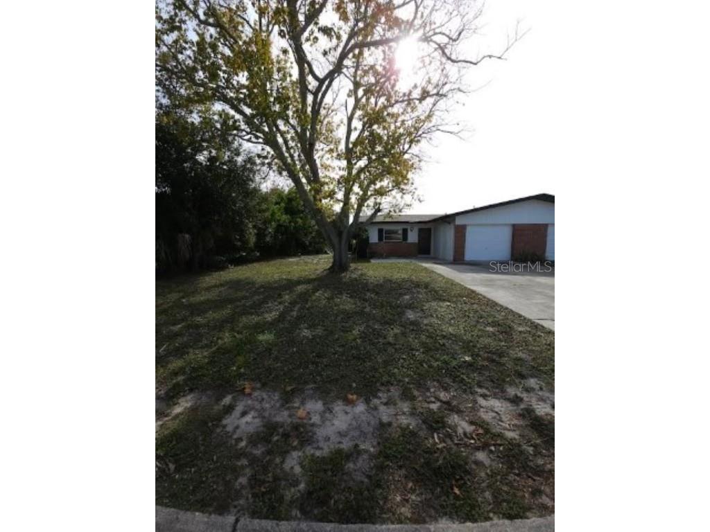 2205 Curlew Avenue #A Dunedin FL 34698 T3492064 image1