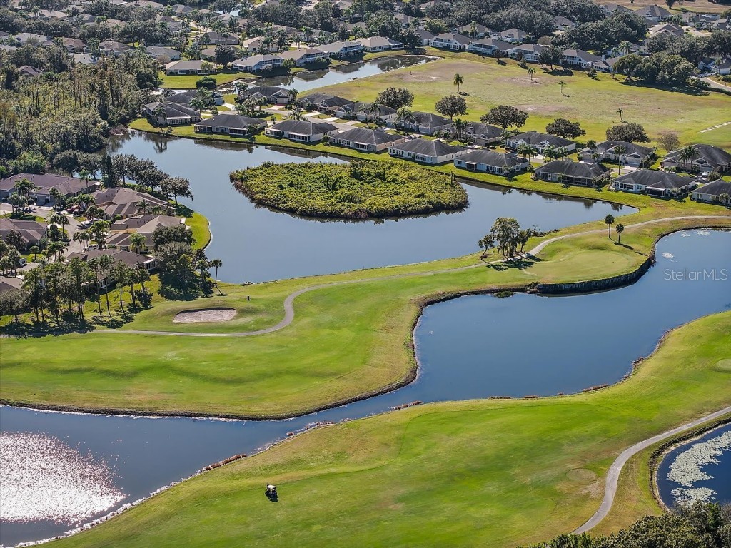 2205 Grenadier Drive Sun City Center FL 33573 TB8448829 image25