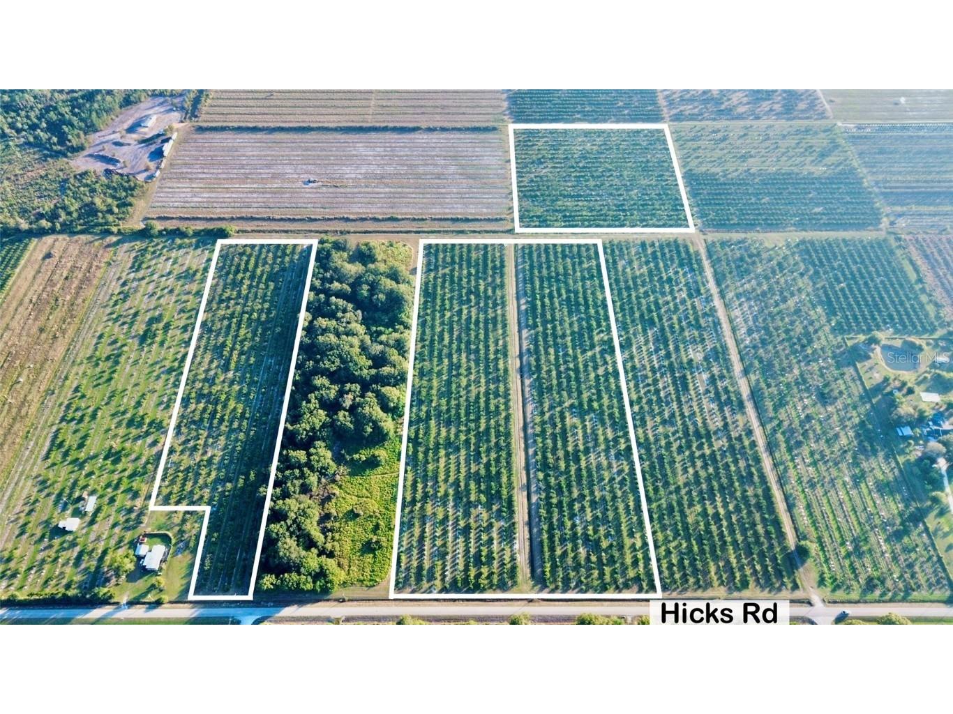 2205 Hicks Road Lorida FL 33857 L4957950 image2