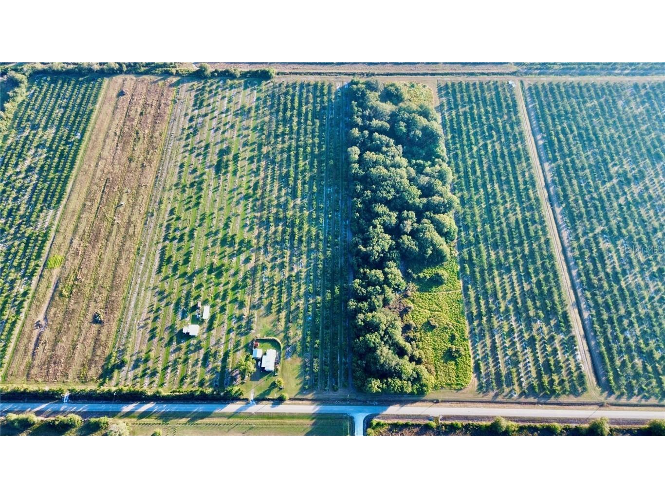 2205 Hicks Road Lorida FL 33857 L4957950 image3