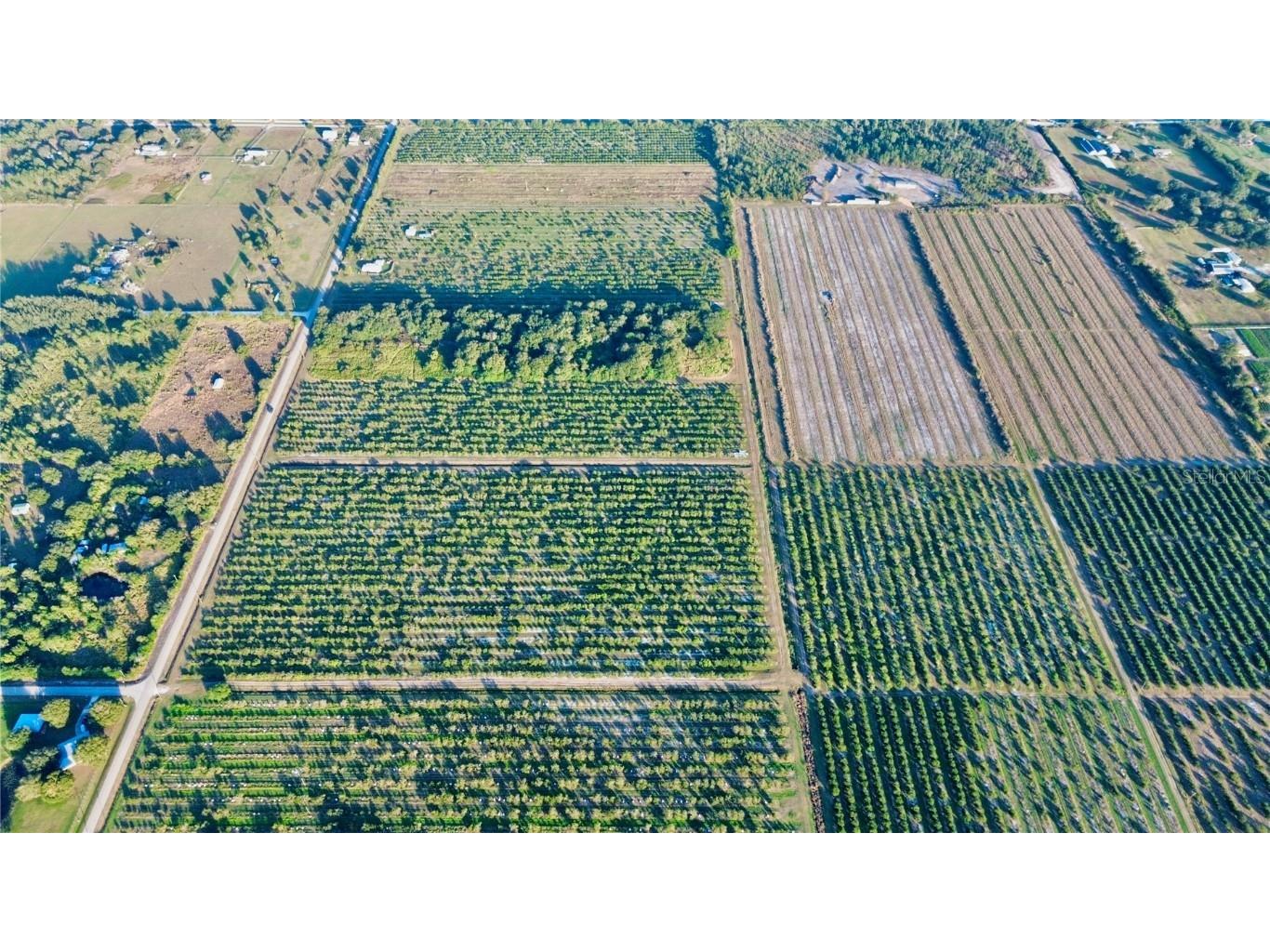 2205 Hicks Road Lorida FL 33857 L4957950 image4