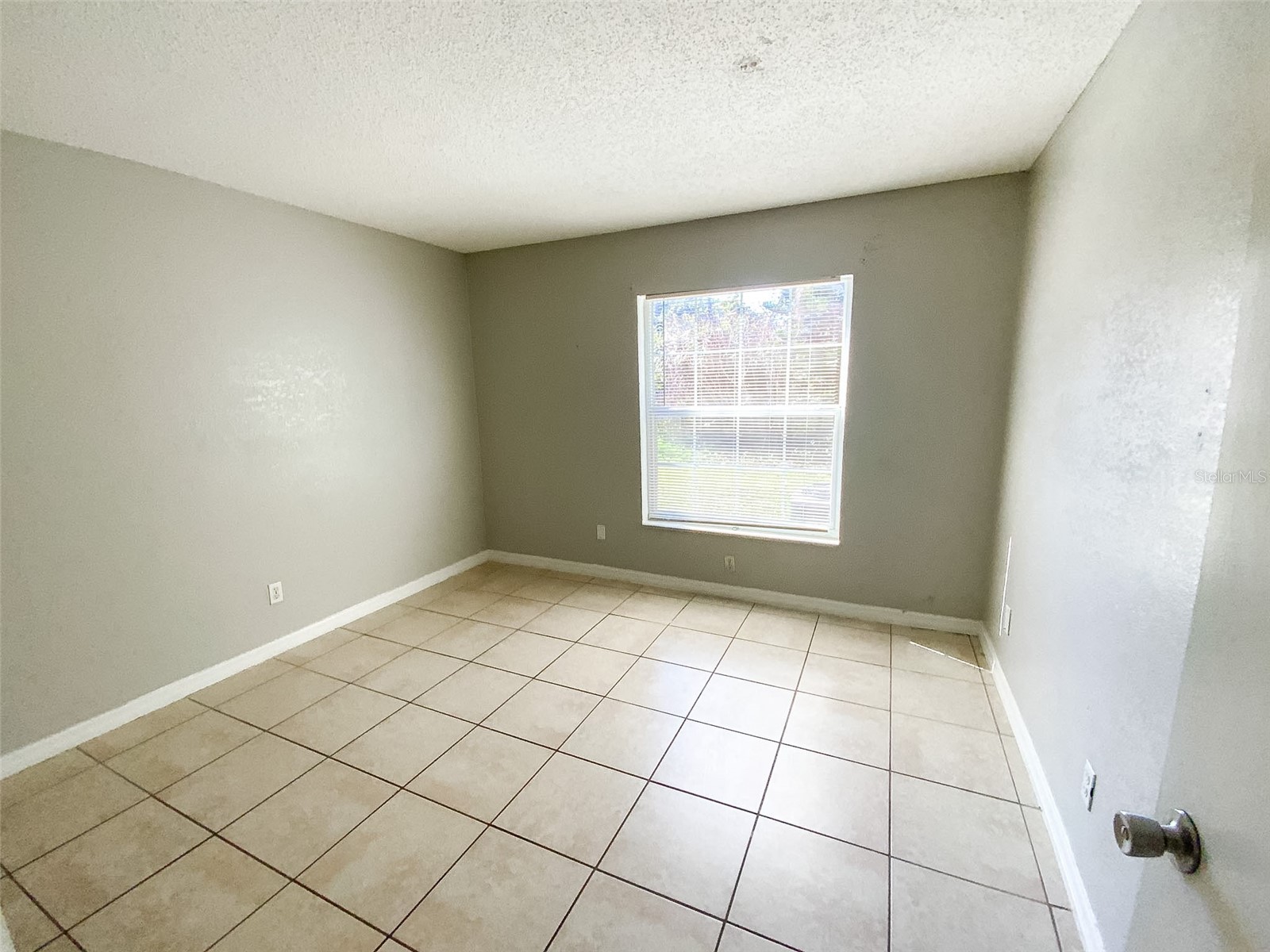 2205 Irene Street #2 Lutz FL 33549 TB8490800 image11
