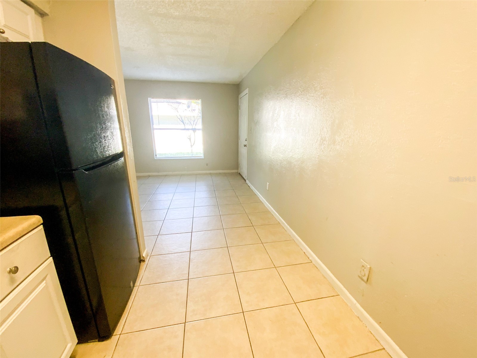 2205 Irene Street #2 Lutz FL 33549 TB8490800 image5