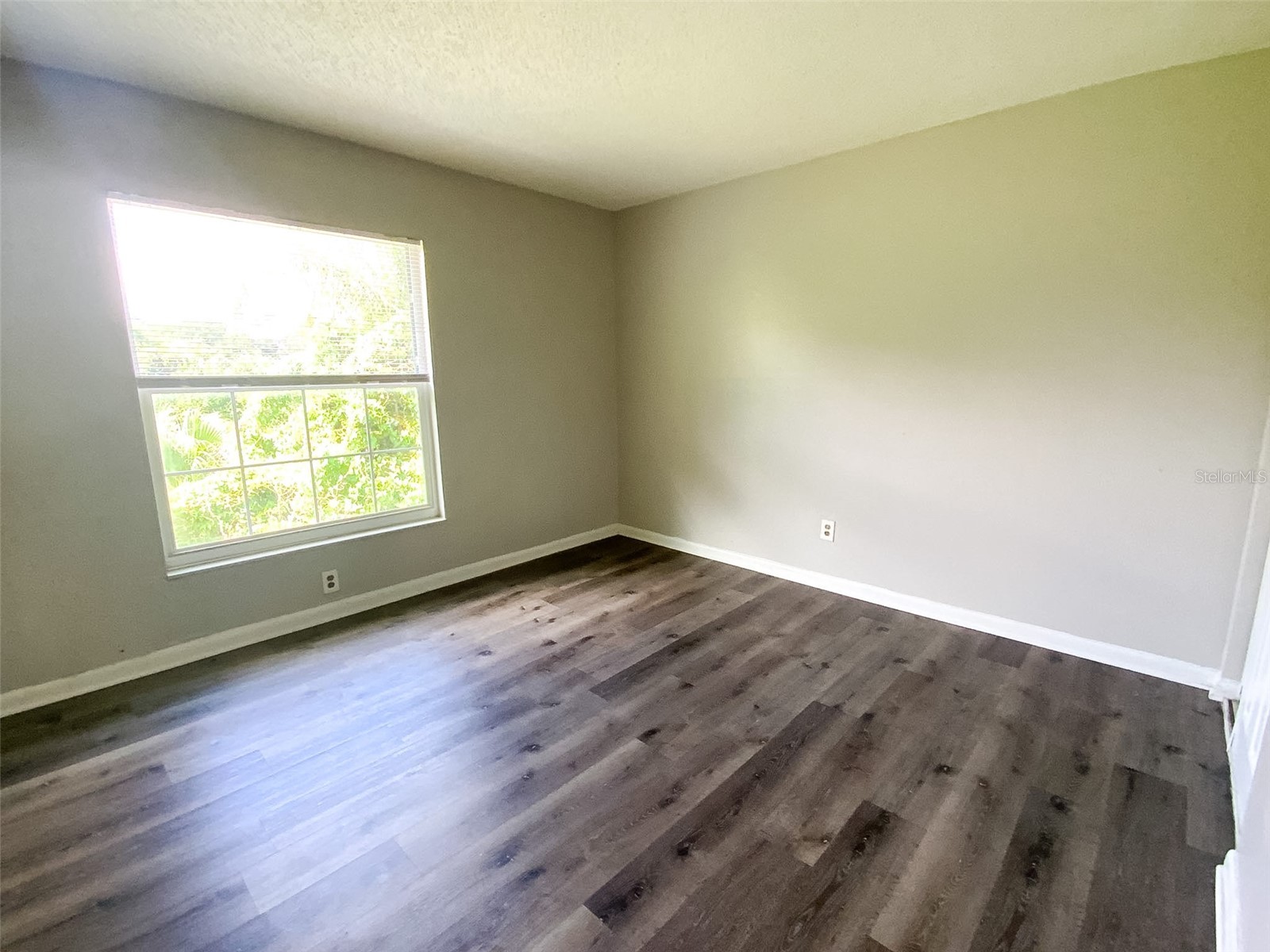 2205 Irene Street #3 Lutz FL 33549 TB8525858 image12