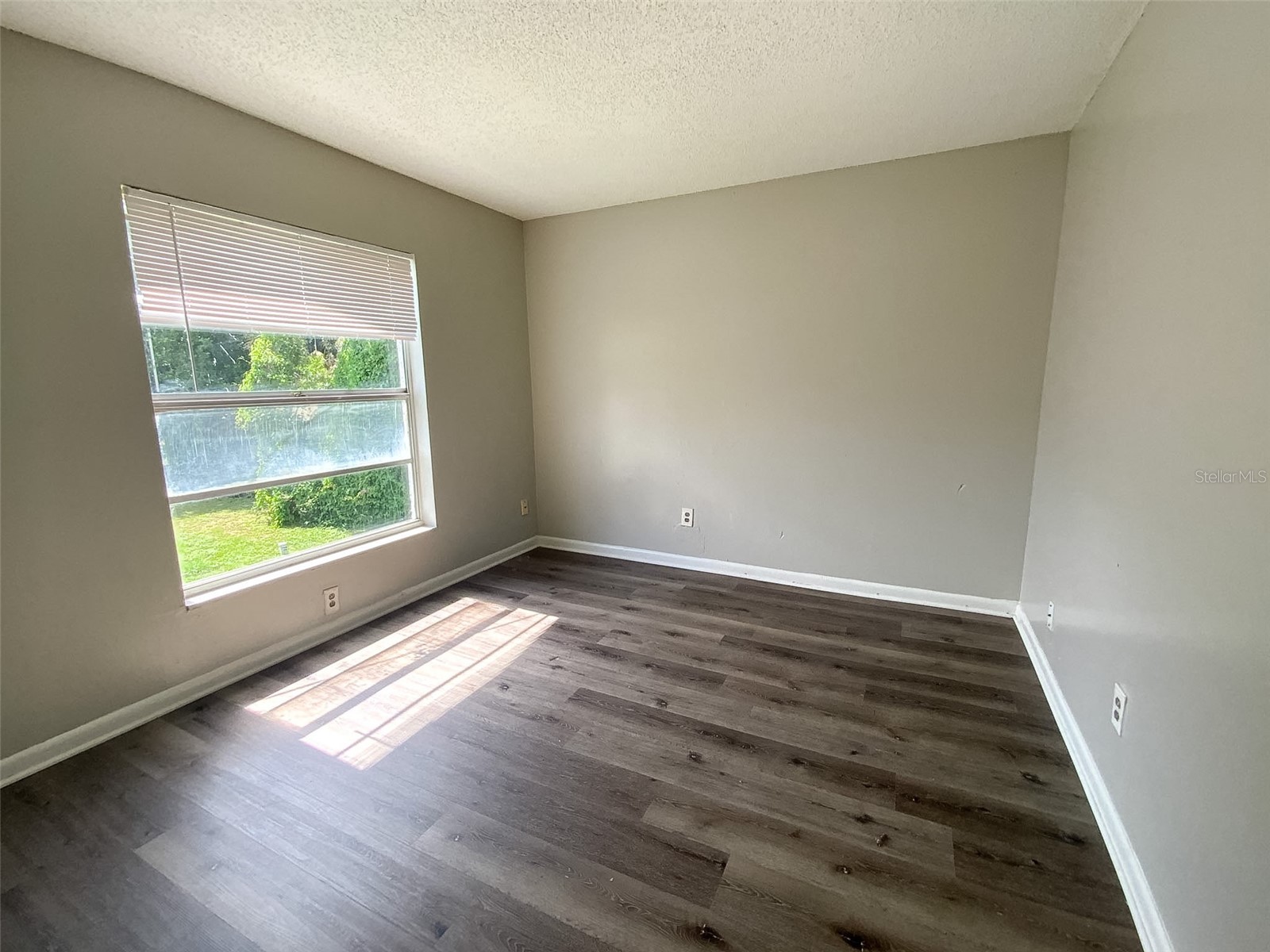 2205 Irene Street #3 Lutz FL 33549 TB8525858 image14