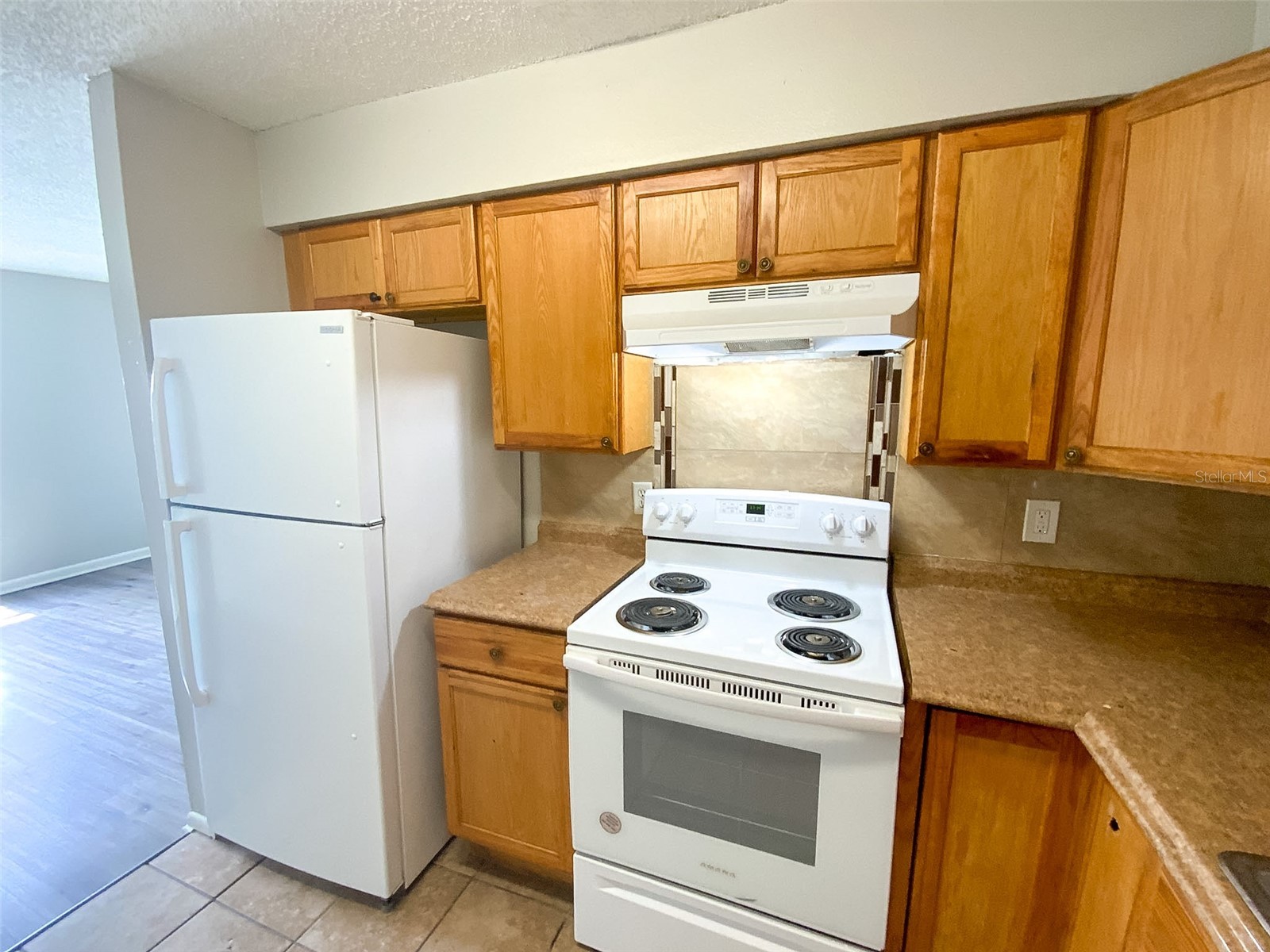 2205 Irene Street #3 Lutz FL 33549 TB8525858 image4