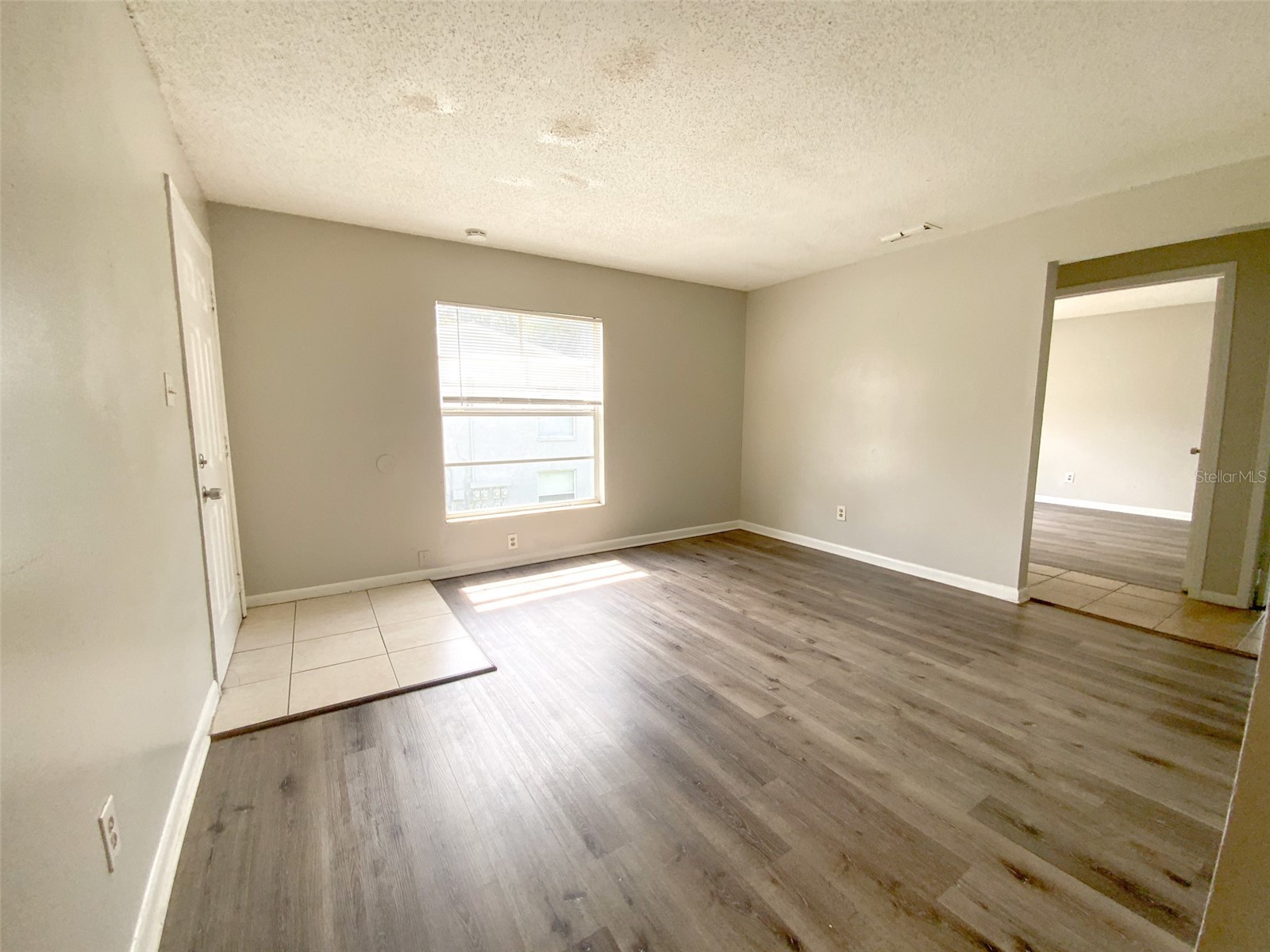 2205 Irene Street #3 Lutz FL 33549 TB8525858 image8