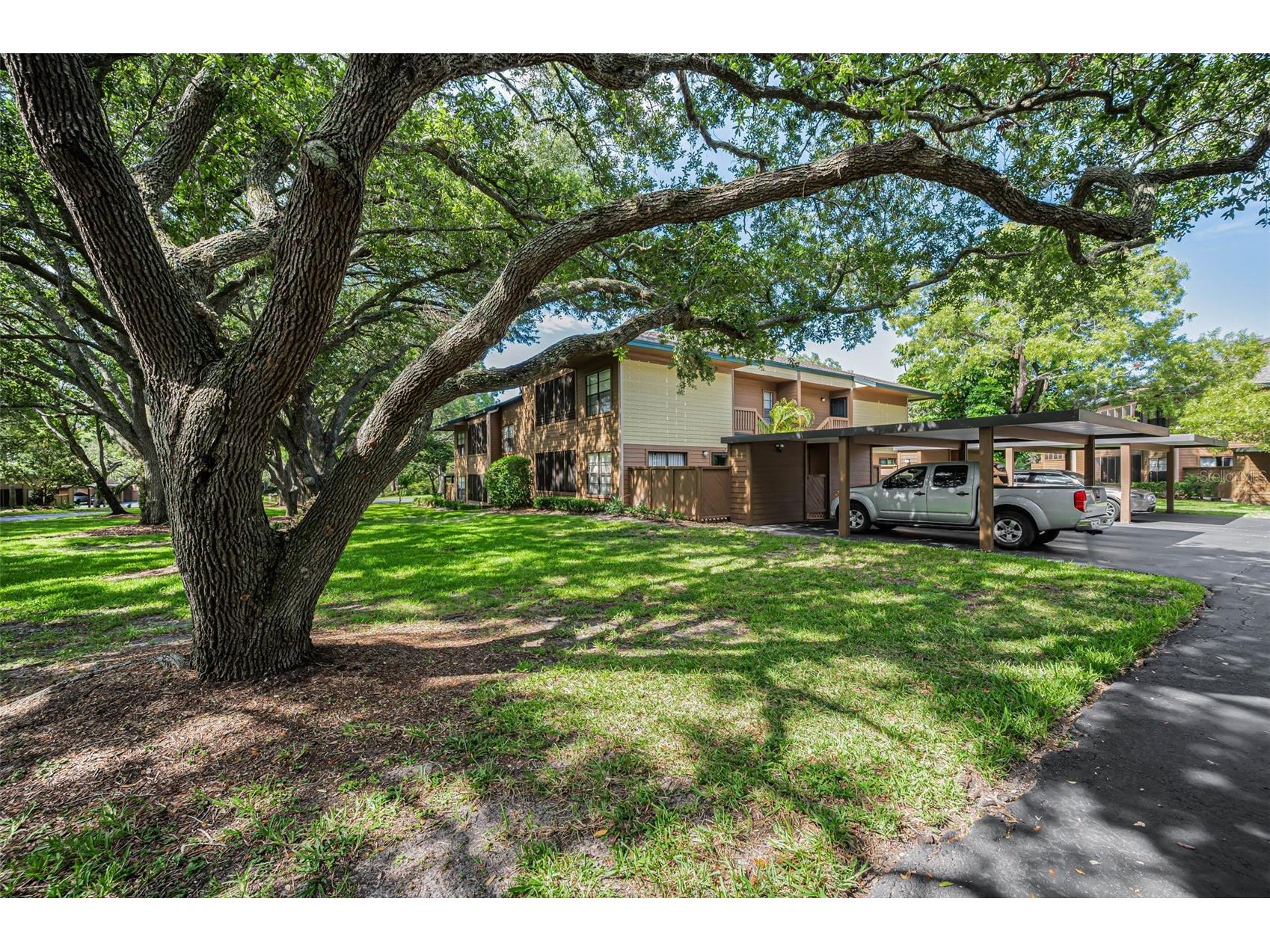 2205 Lennox Road E #2205 Palm Harbor FL 34683 TB8520366 image39