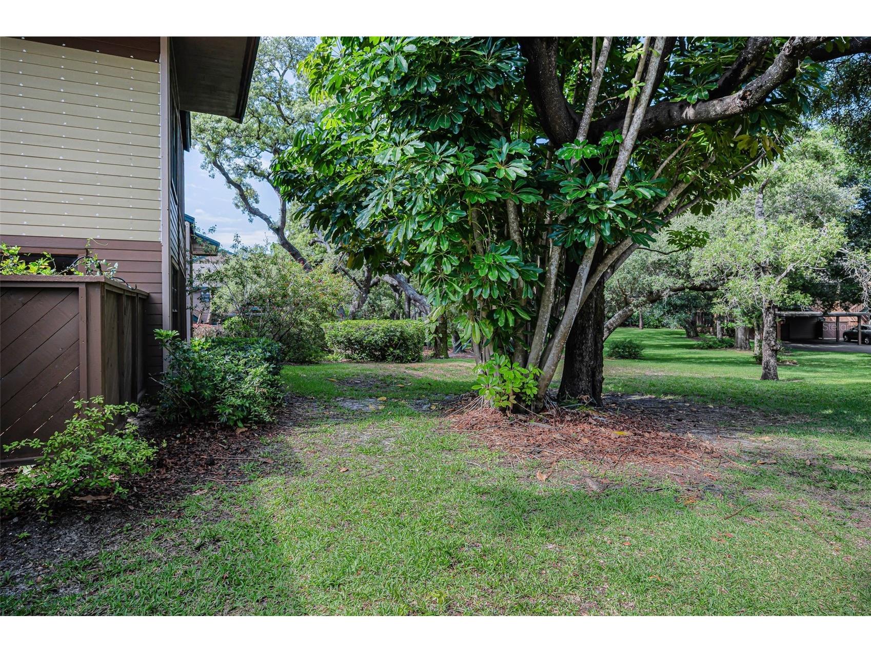 2205 Lennox Road E #2205 Palm Harbor FL 34683 TB8520366 image42