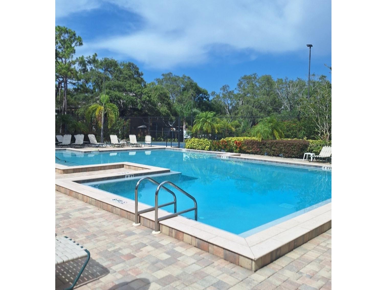 2205 Lennox Road E #2205 Palm Harbor FL 34683 TB8520366 image58