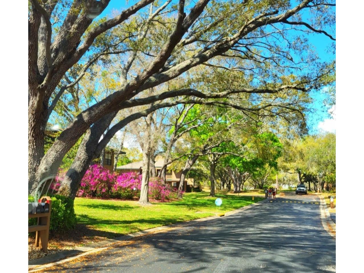 2205 Lennox Road E #2205 Palm Harbor FL 34683 TB8520366 image69
