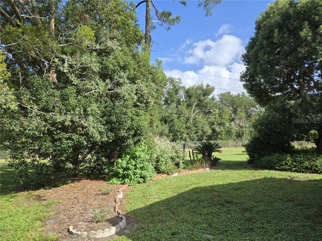 2205 S Citrus Circle #1388 Zellwood FL 32798 - LAKE GRASSMERE AND LAKE COHEN O6349119 image8