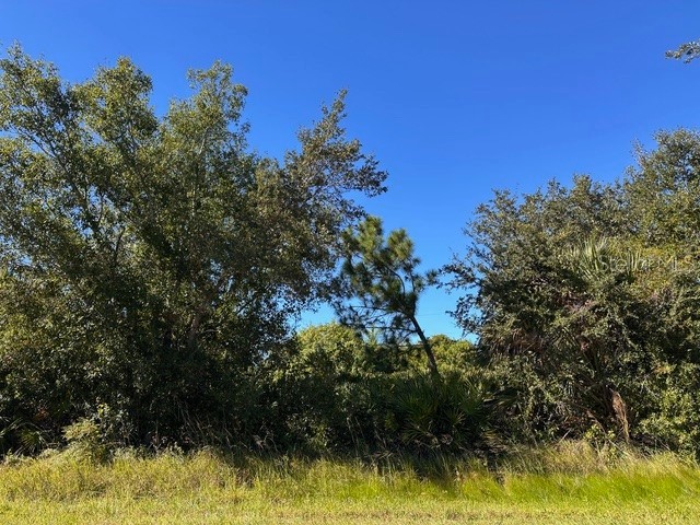 22059 Bancroft Avenue Port Charlotte FL 33954 TB8483717 image12