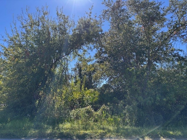 22059 Bancroft Avenue Port Charlotte FL 33954 TB8483717 image13