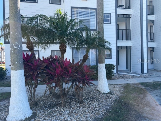 2206 Antigua Place #1015 Kissimmee FL 34741 O6374245 image24