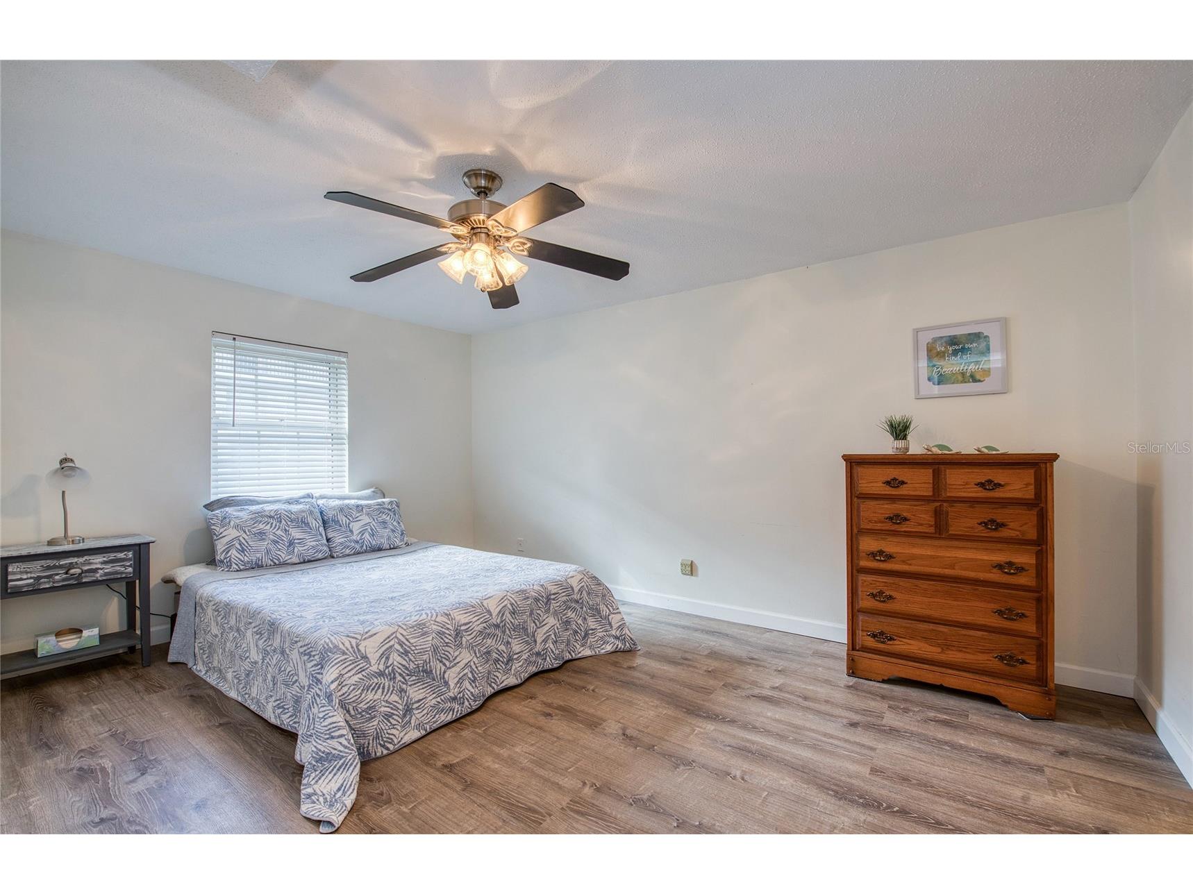2206 Cordova Green Seminole FL 33777 TB8462855 image7