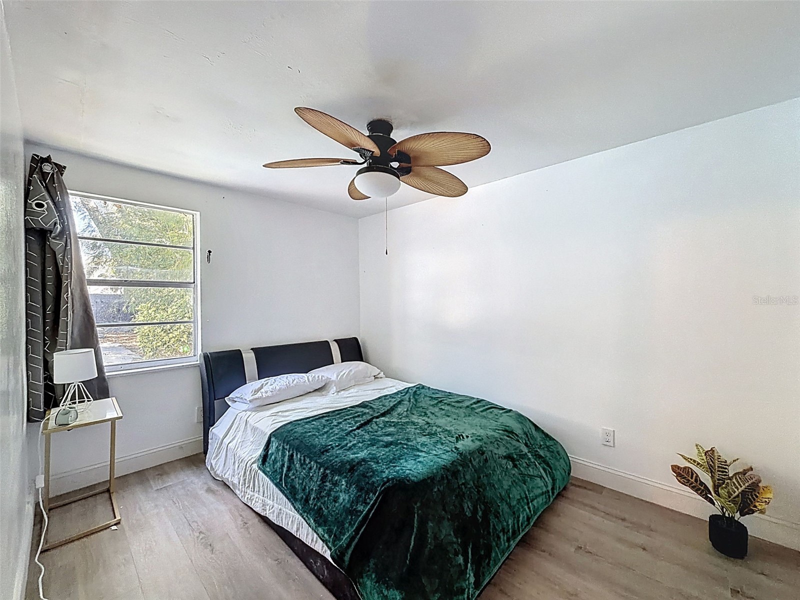 2206 Howard Lane Tampa FL 33612 TB8480400 image21