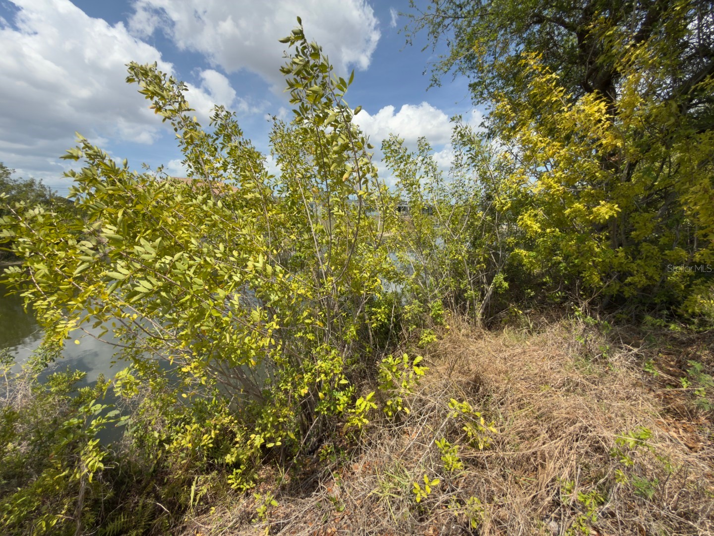 2206 NE 1st Place Cape Coral FL 33909 C7524392 image5