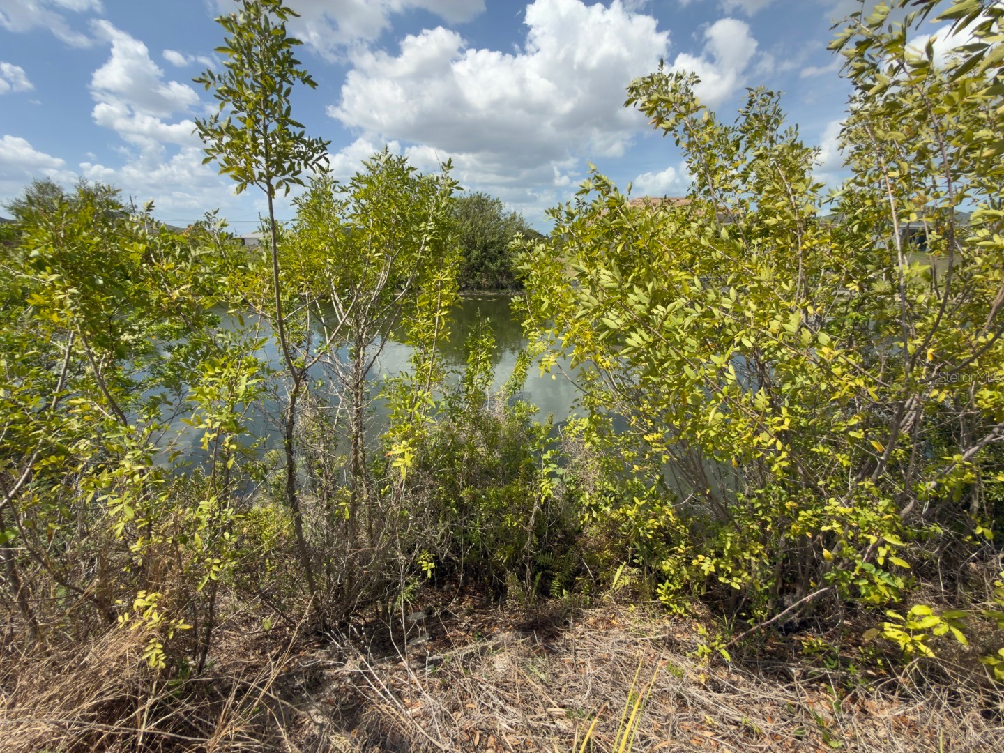 2206 NE 1st Place Cape Coral FL 33909 C7524392 image6