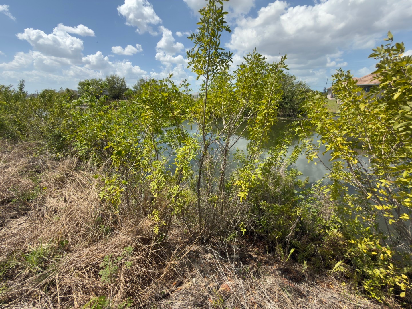 2206 NE 1st Place Cape Coral FL 33909 C7524392 image7