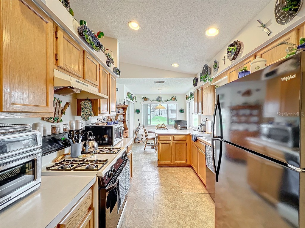 2206 Silver Lakes Drive N Lakeland FL 33810 L4956889 image6