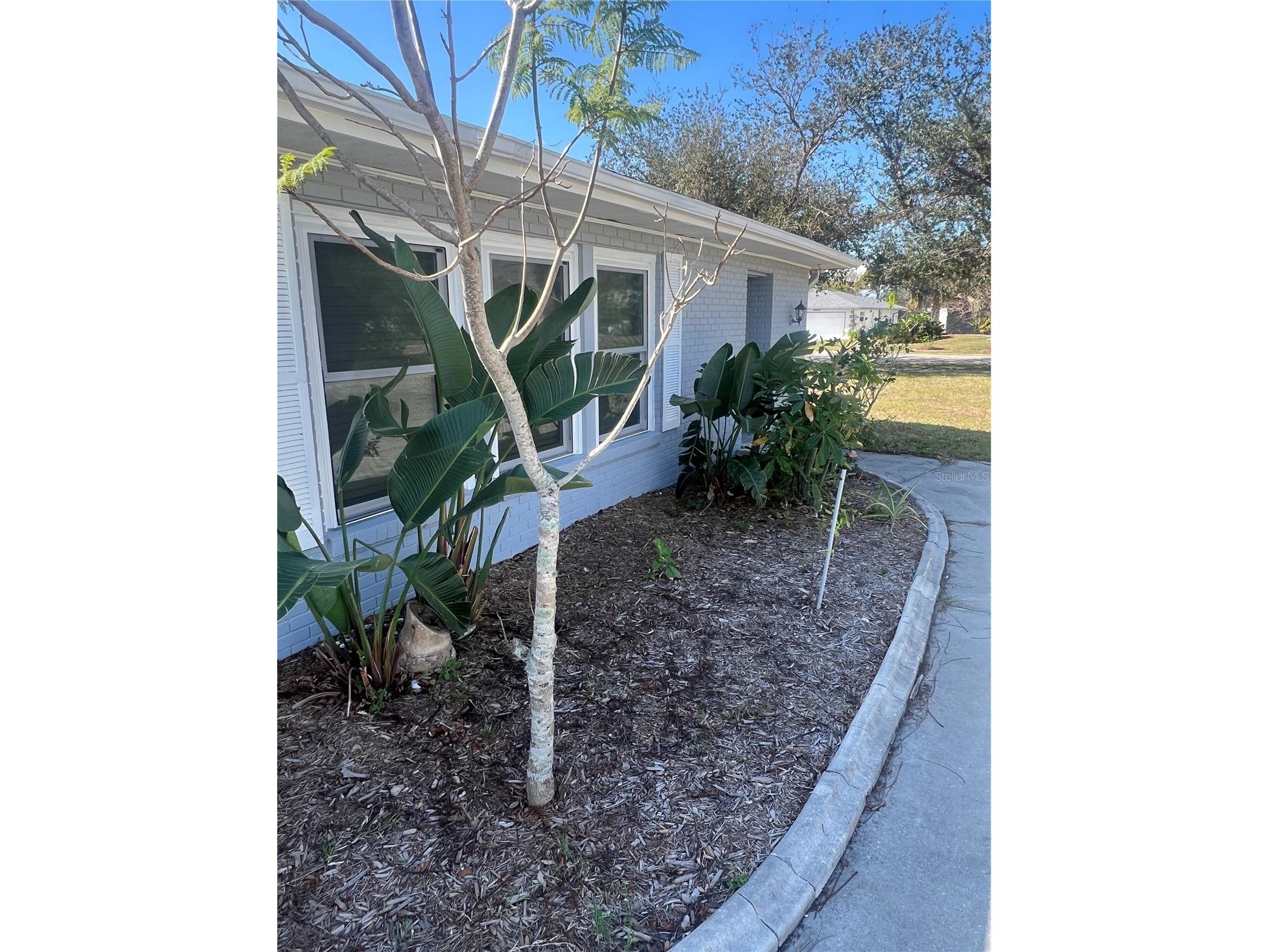 22065 Malone Avenue Port Charlotte FL 33952 TB8491635 image9