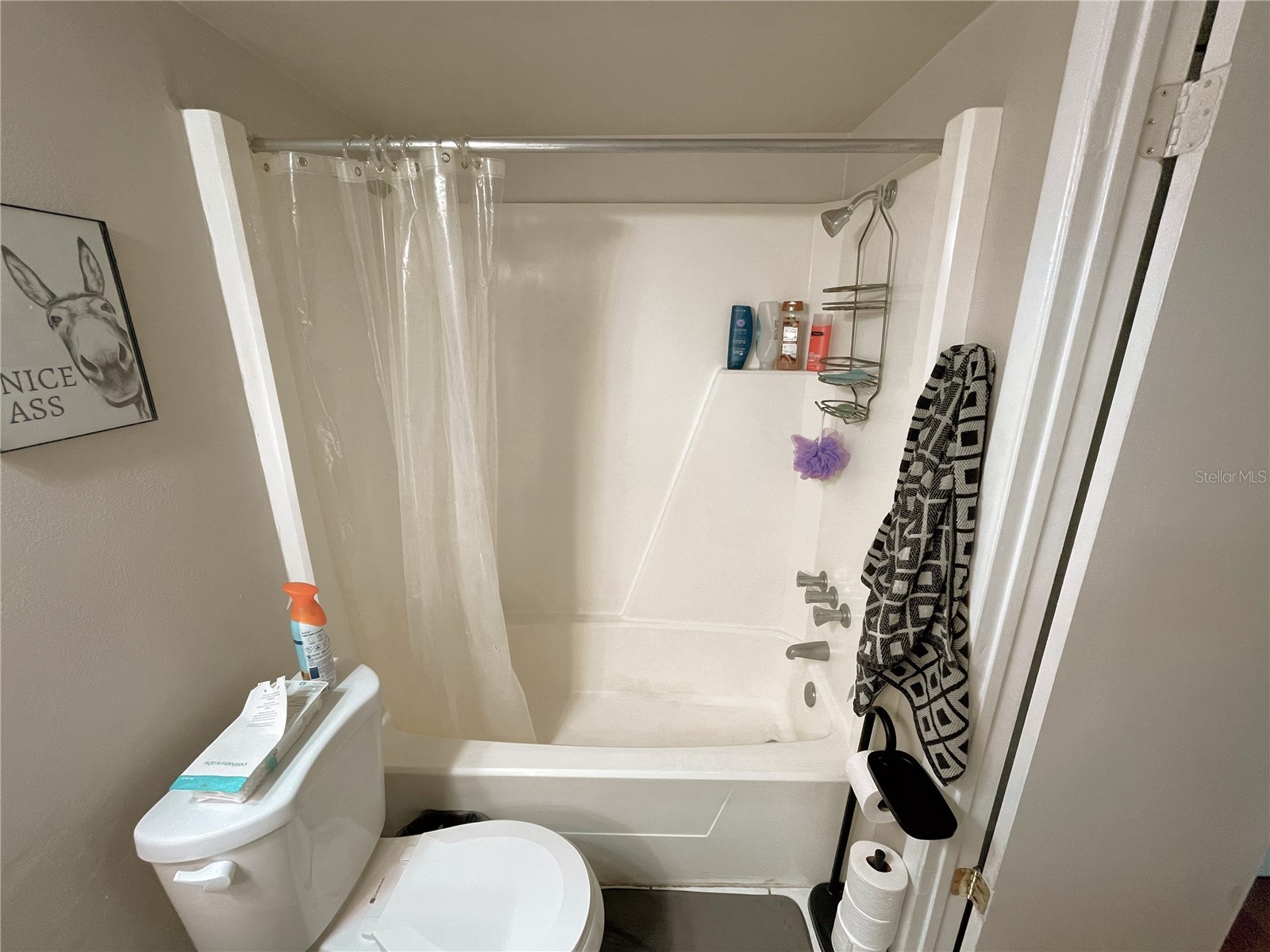 2207 Belleair Road #B11 Clearwater FL 33764 TB8479774 image15