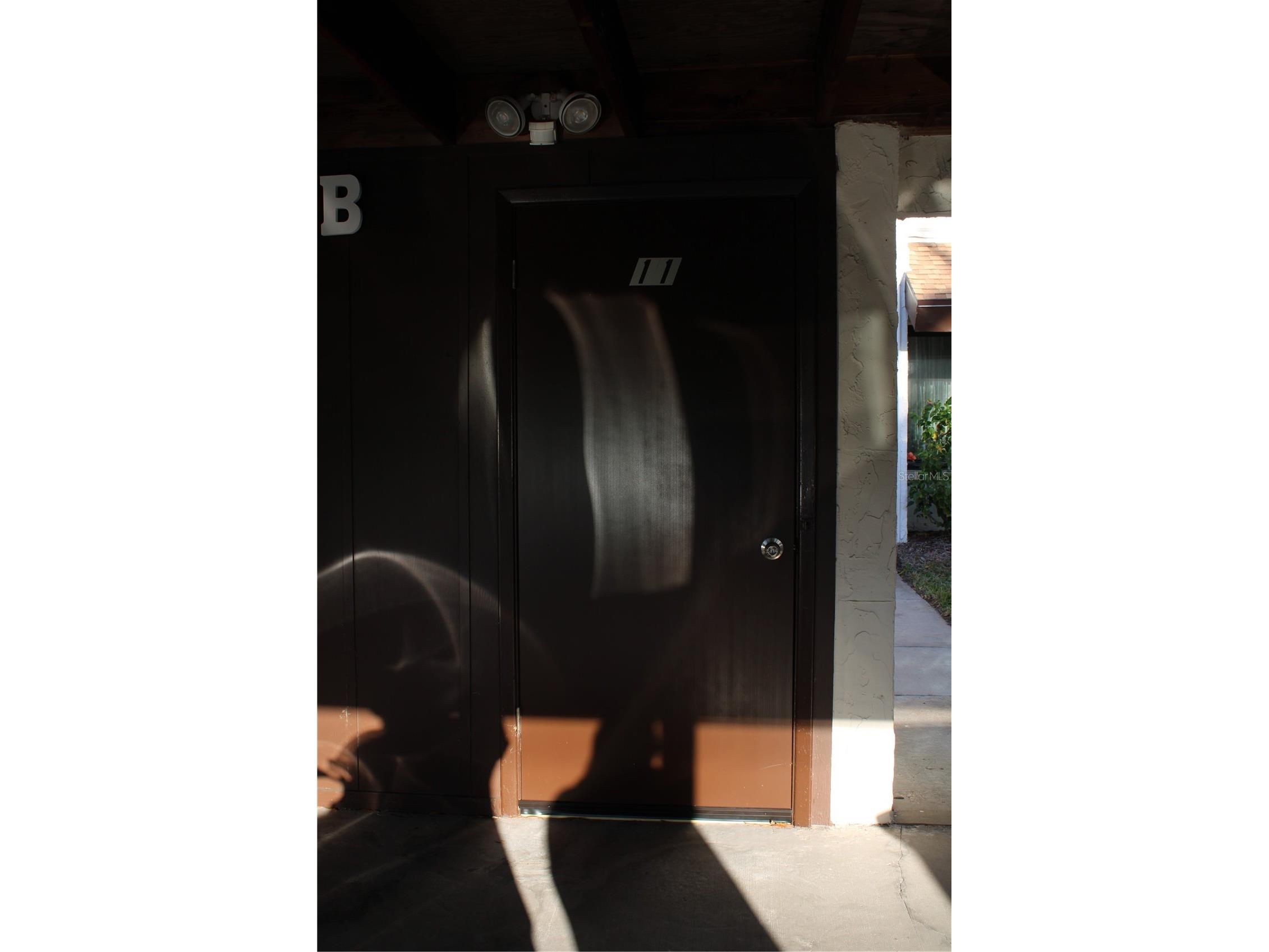 2207 Belleair Road #B11 Clearwater FL 33764 TB8479774 image25