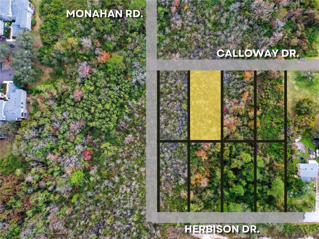 2207 Calloway Drive Orlando FL 32810 O6271899 image5