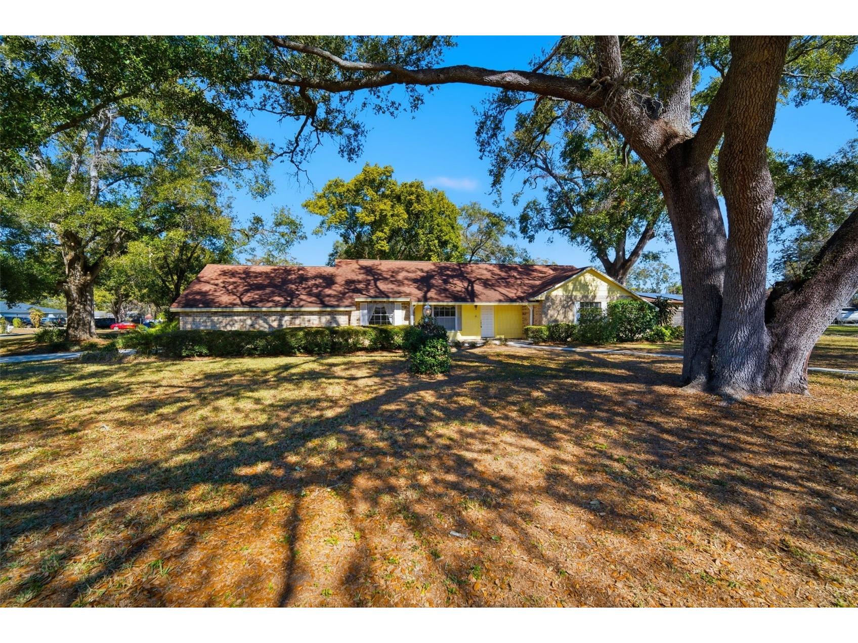 2207 Parkwood Drive Valrico FL 33594 TB8468311 image1