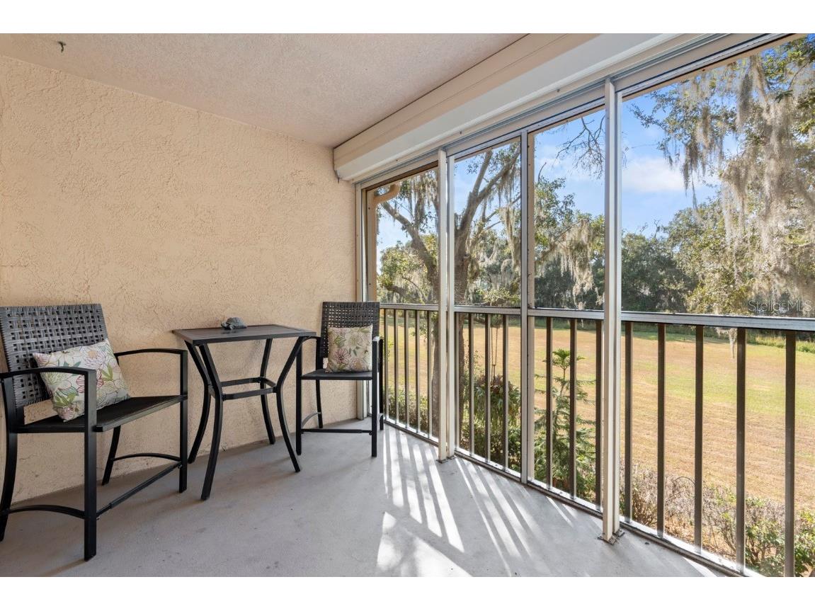 2207 Preservation Drive #2207 Plant City FL 33566 TB8449197 image41