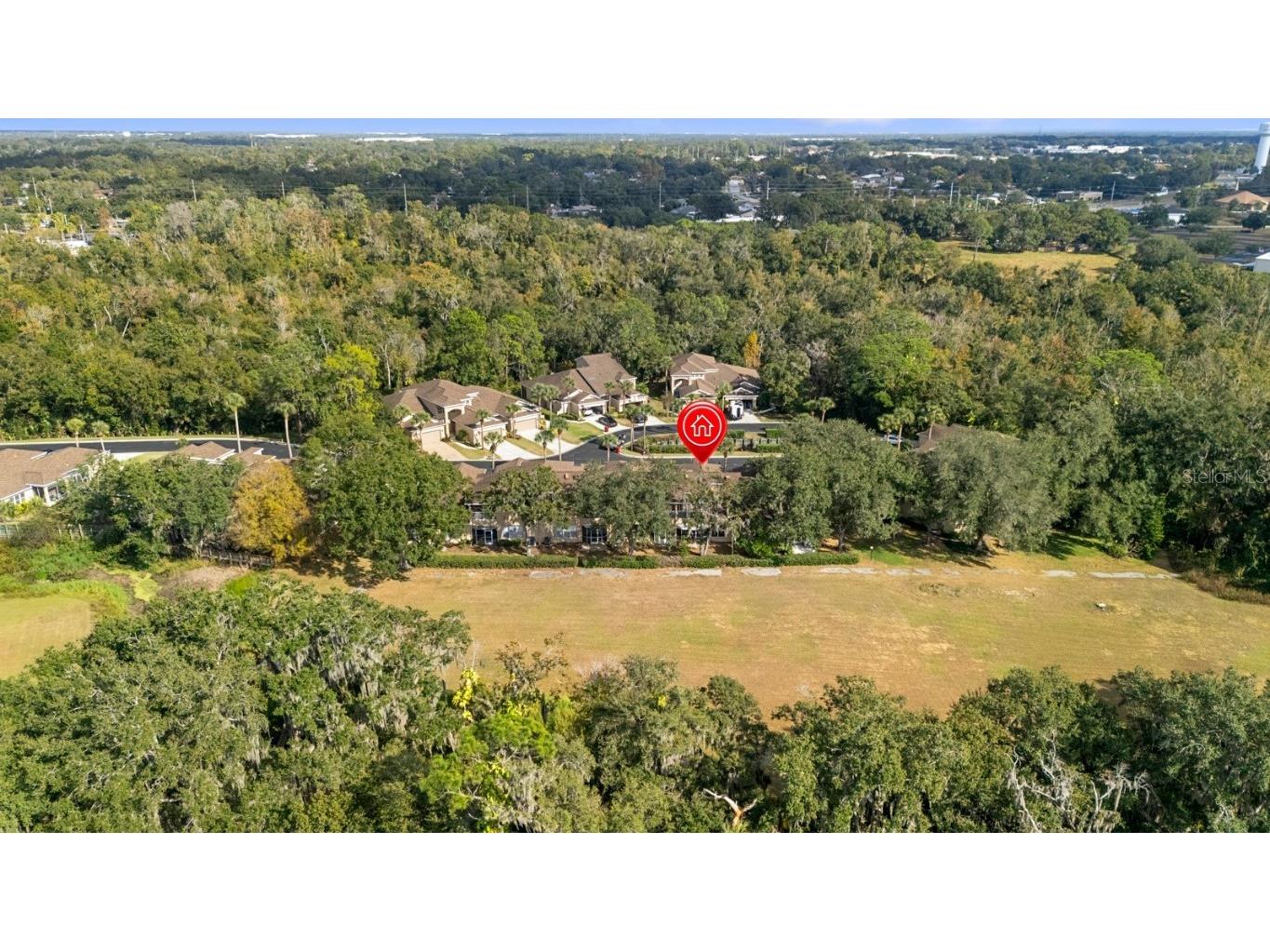 2207 Preservation Drive #2207 Plant City FL 33566 TB8449197 image52