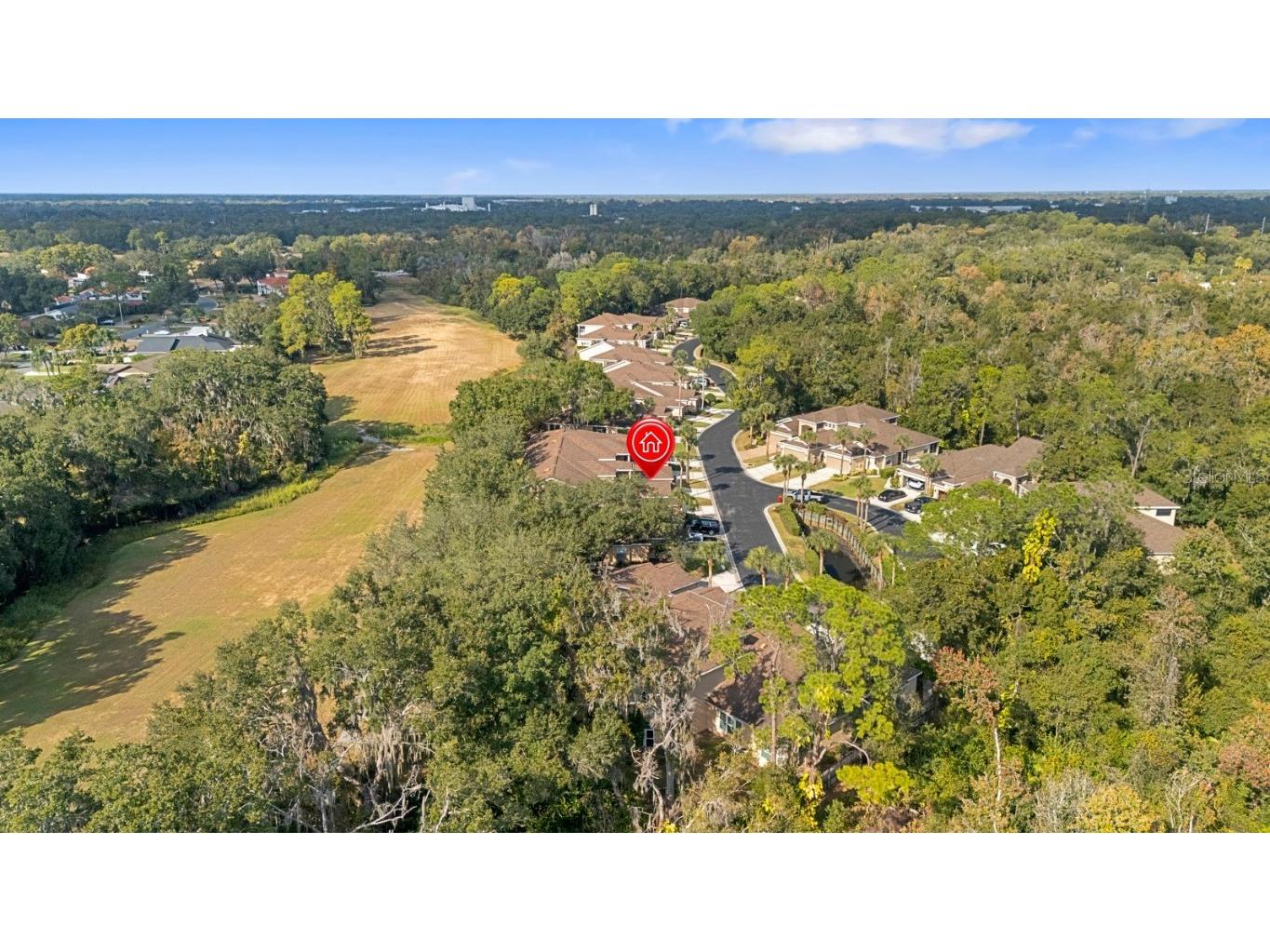 2207 Preservation Drive #2207 Plant City FL 33566 TB8449197 image54