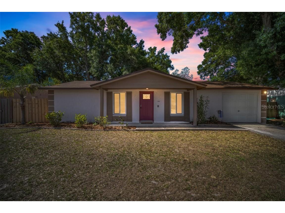 2207 Selkirk Street Valrico FL 33594 T3444749 image1