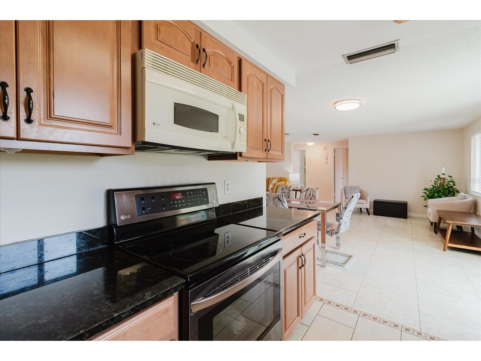2207 Selkirk Street Valrico FL 33594 TB8507293 image25