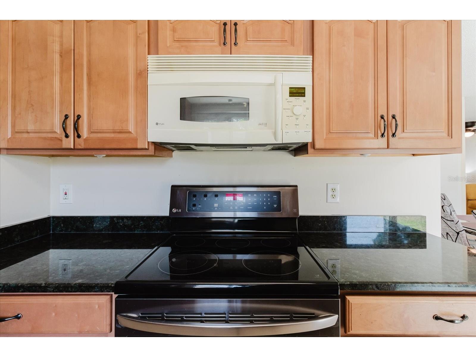 2207 Selkirk Street Valrico FL 33594 TB8507293 image26