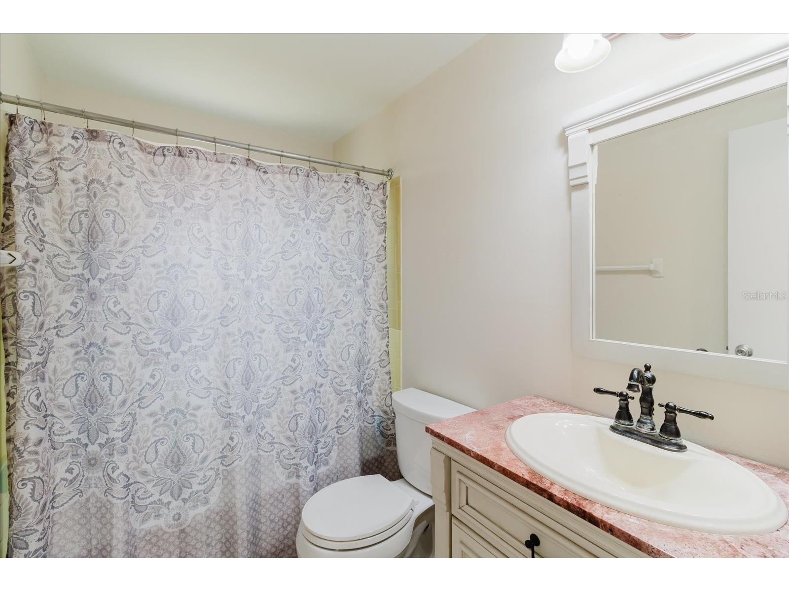 2207 Selkirk Street Valrico FL 33594 TB8507293 image34